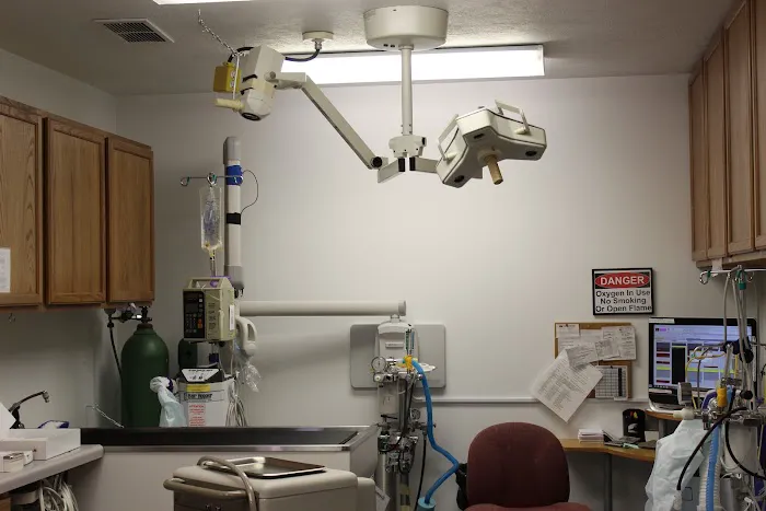 Summer Street Animal Clinic Picture 5