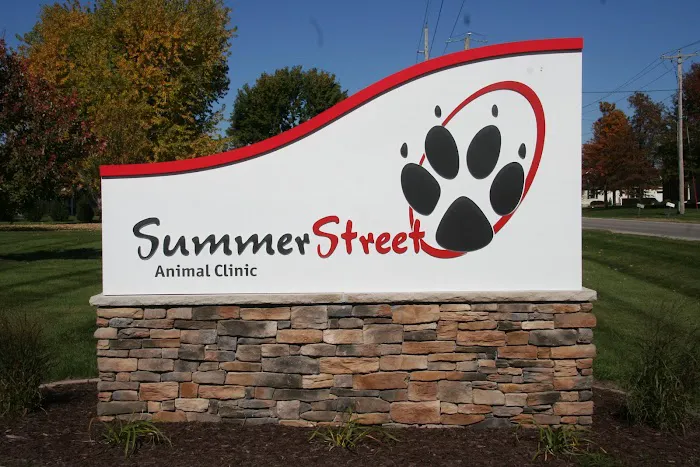 Summer Street Animal Clinic Picture 10
