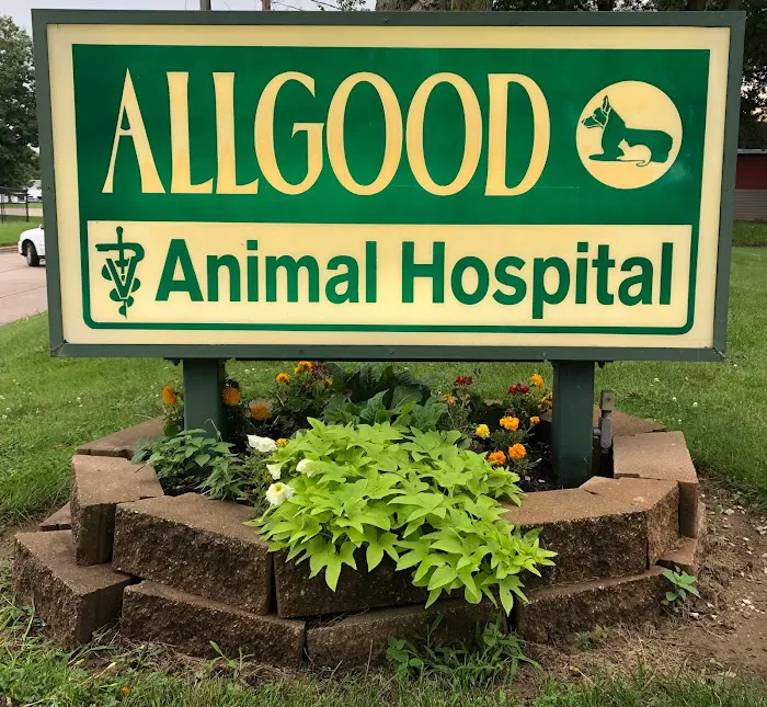 Allgood Animal Hospital Picture 1