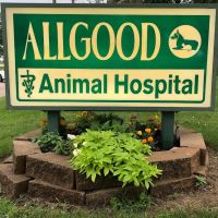 Allgood Animal Hospital ico