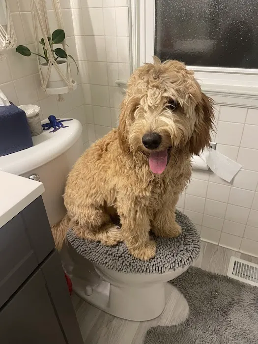 Allgood Animal Hospital Picture 4