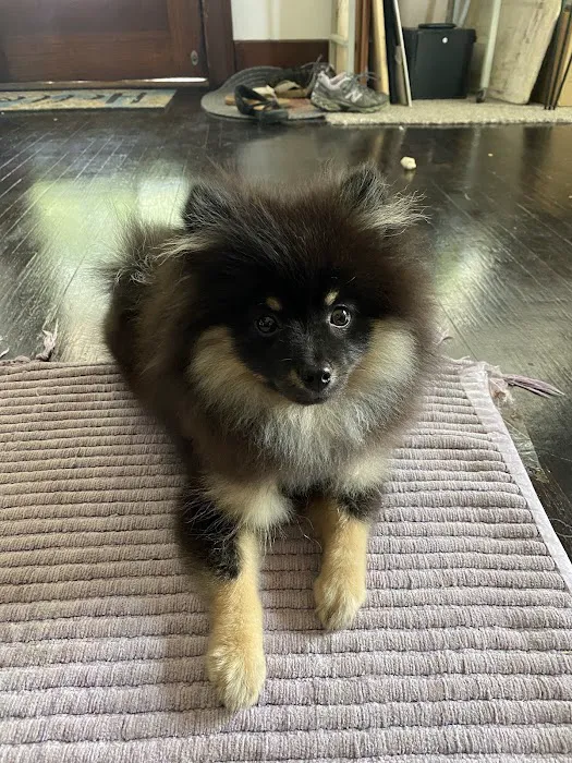 Allgood Animal Hospital Picture 5