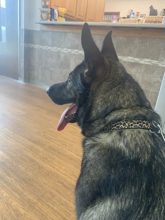 Allgood Animal Hospital Picture 2