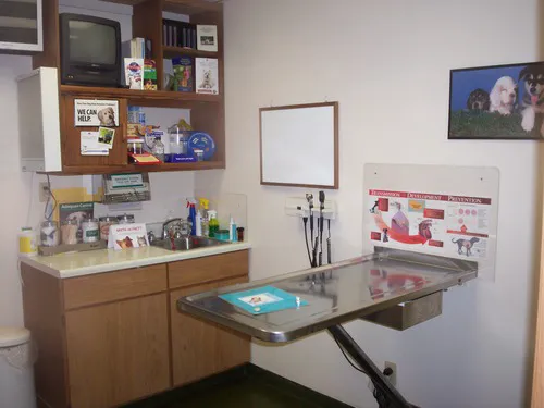 Allgood Animal Hospital: Lesczynski Rita DVM Picture 4