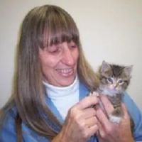 Allgood Animal Hospital: Lesczynski Rita DVM ico