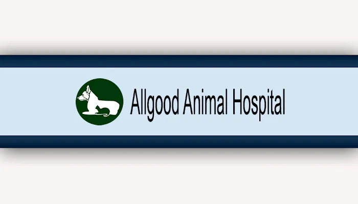 Allgood Animal Hospital: Lesczynski Rita DVM Picture 5