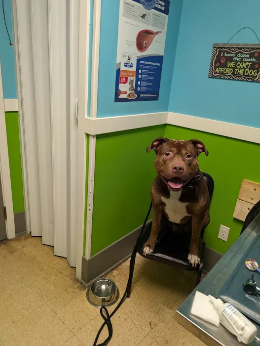 Mediapolis Veterinary Clinic Picture 2