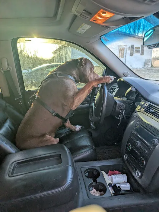 Mediapolis Veterinary Clinic Picture 3