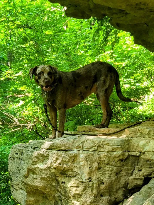 Mediapolis Veterinary Clinic Picture 5