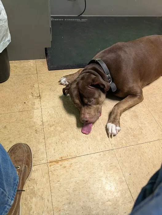 Mediapolis Veterinary Clinic Picture 4