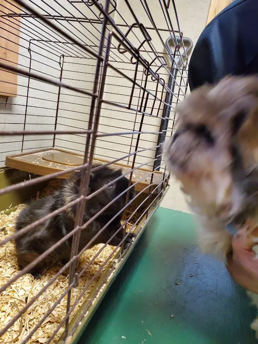 Mediapolis Veterinary Clinic Picture 8