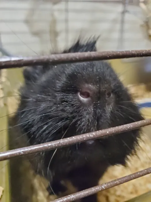 Mediapolis Veterinary Clinic Picture 7