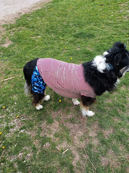 Mediapolis Veterinary Clinic Picture 9