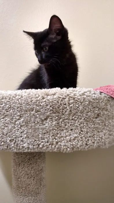 Lakeview Veterinary Clinic Picture 6