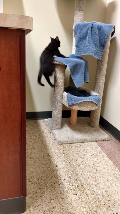 Lakeview Veterinary Clinic Picture 5