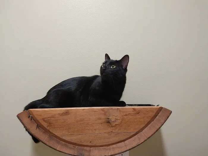 Lakeview Veterinary Clinic Picture 9