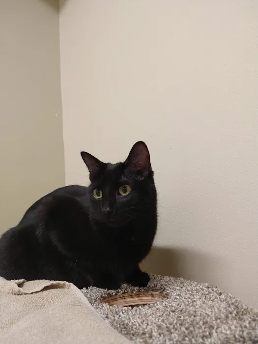 Lakeview Veterinary Clinic Picture 4