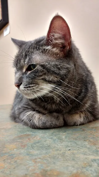 Lakeview Veterinary Clinic Picture 3