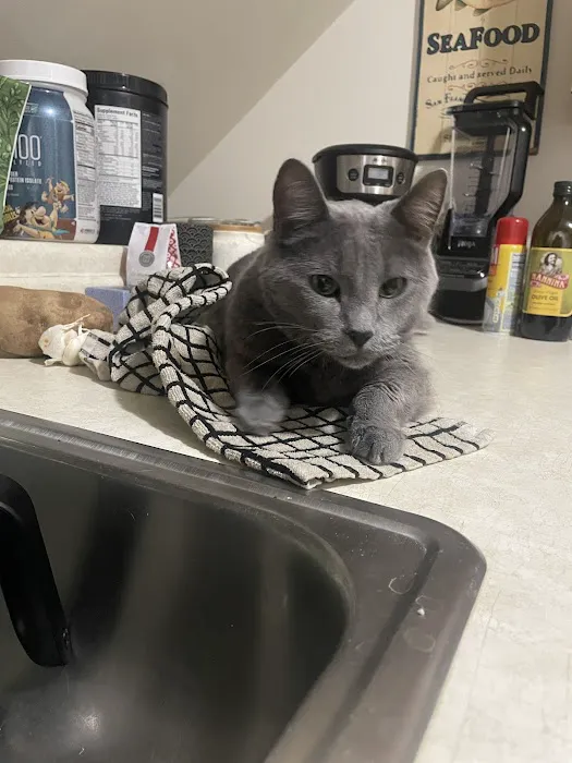 Whole Pet Veterinary Clinic Picture 6