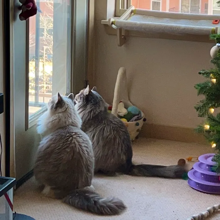 Whole Pet Veterinary Clinic Picture 2