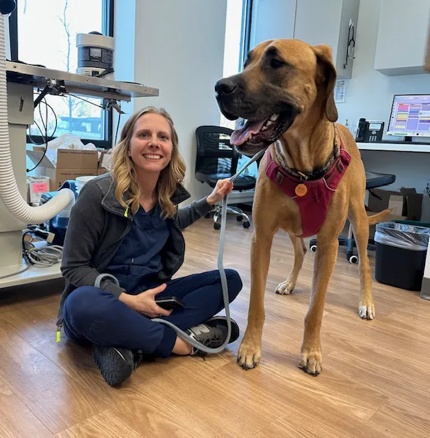 Whole Pet Veterinary Clinic Picture 10