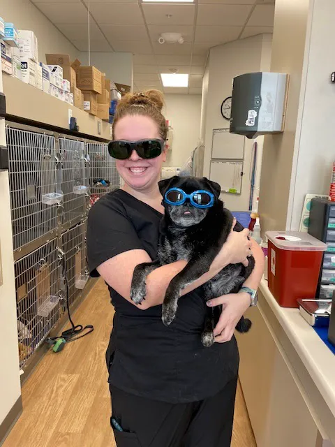 Whole Pet Veterinary Clinic Picture 7