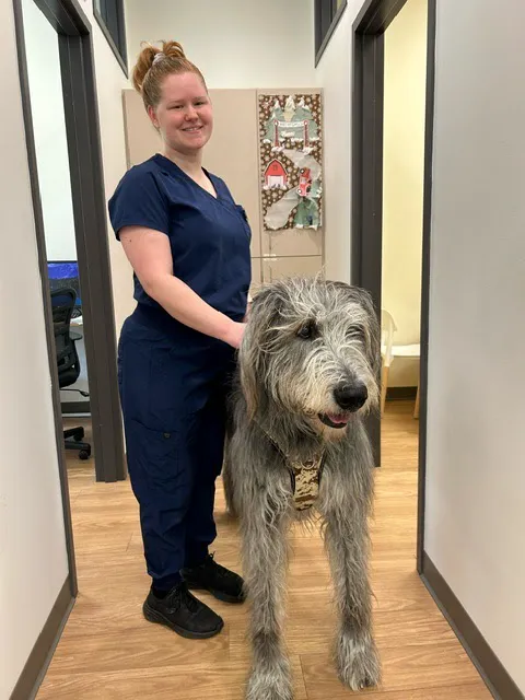 Whole Pet Veterinary Clinic Picture 8