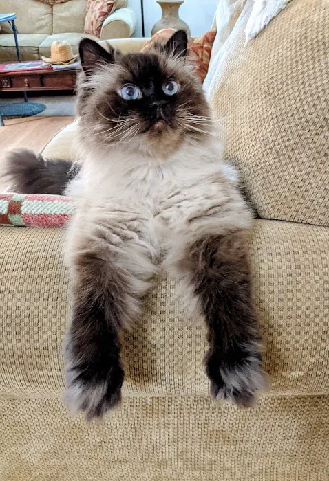 Paws & Claws Mobile Veterinary Service, LLC Picture 2