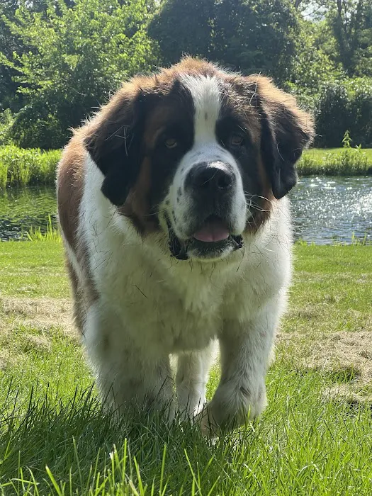 Paws & Claws Mobile Veterinary Service, LLC Picture 4