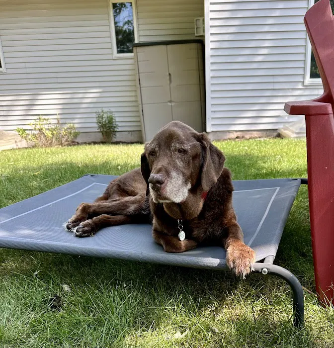 Full Circle In-Home Pet Euthanasia Picture 1