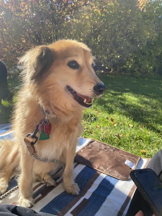 Full Circle In-Home Pet Euthanasia Picture 8