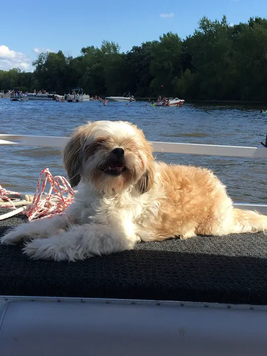 Full Circle In-Home Pet Euthanasia Picture 7