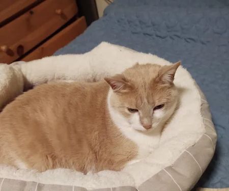 Animal Hospital At Hillshore