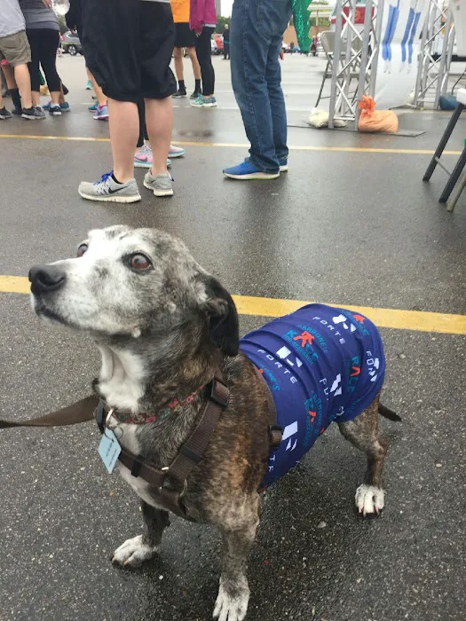 Animal Hospital At Hillshore Picture 10