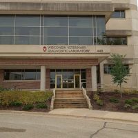 Wisconsin Veterinary Diagnostic Laboratory ico