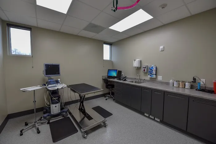 Madison Veterinary Specialists & Emergency Care Picture 4