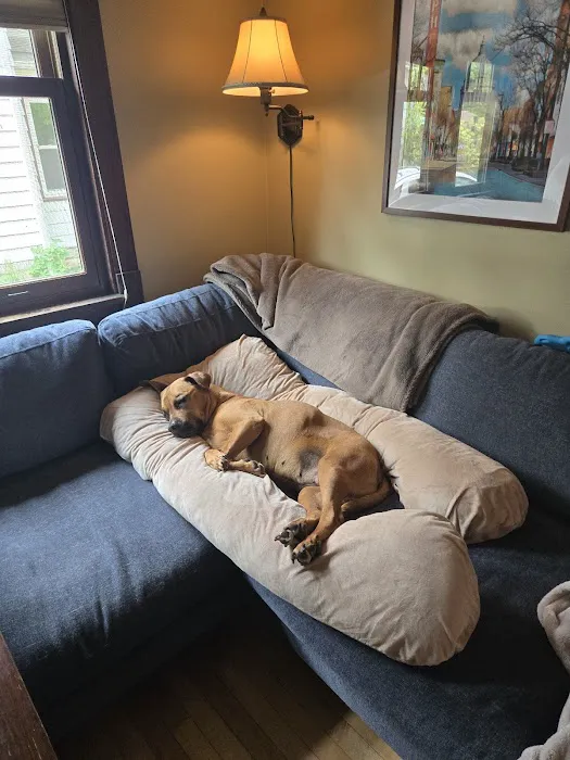 Madison Veterinary Specialists & Emergency Care Picture 2