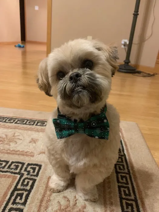 Madison Veterinary Specialists & Emergency Care Picture 1