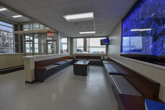 Madison Veterinary Specialists & Emergency Care Picture 7