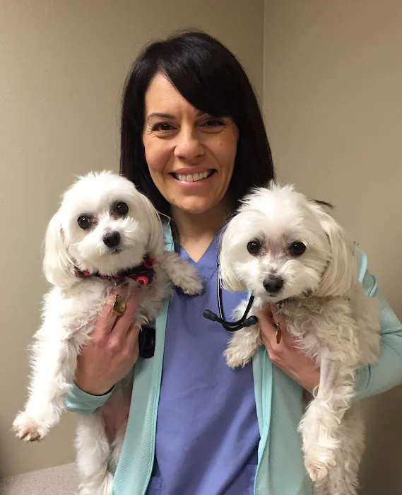 Madison Veterinary Specialists & Emergency Care Picture 10