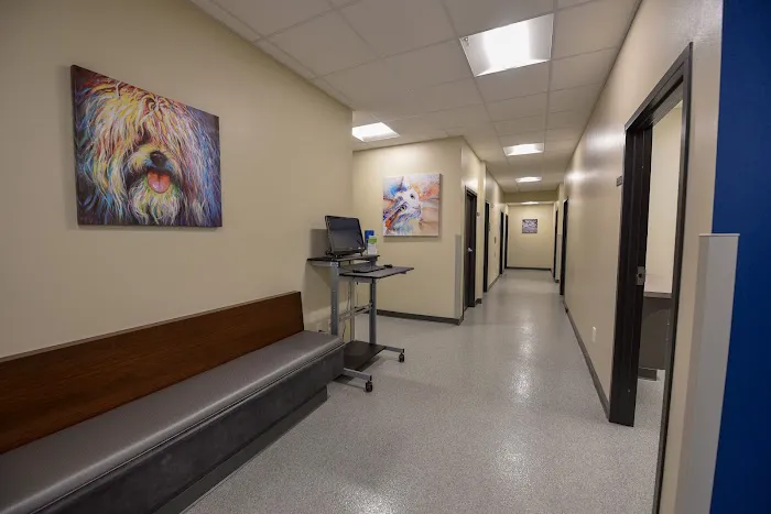 Madison Veterinary Specialists & Emergency Care Picture 9