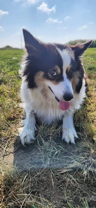 UW Veterinary Care Picture 4