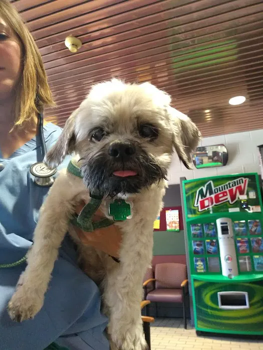 UW Veterinary Care Picture 5