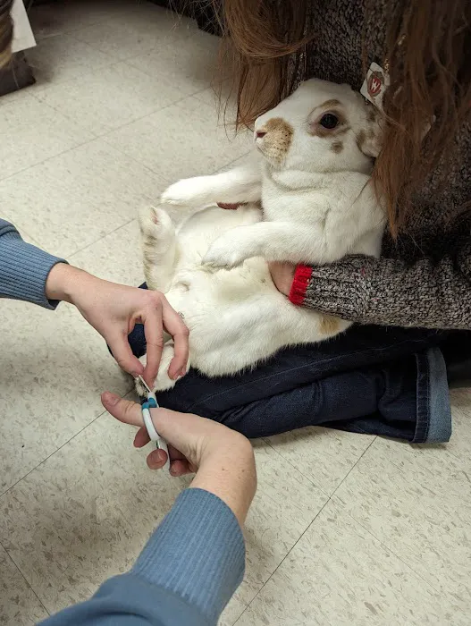 UW Veterinary Care Picture 8