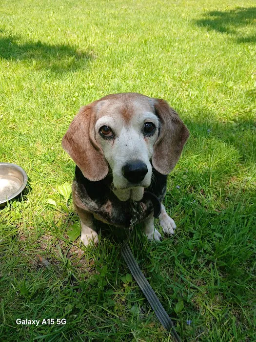 UW Veterinary Care Picture 6