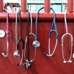 School Of Veterinary Medicine