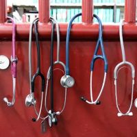 School Of Veterinary Medicine ico