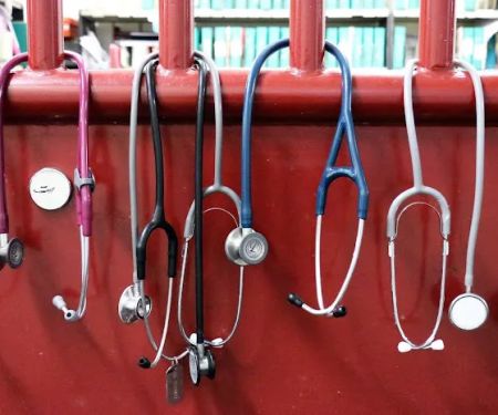 School Of Veterinary Medicine