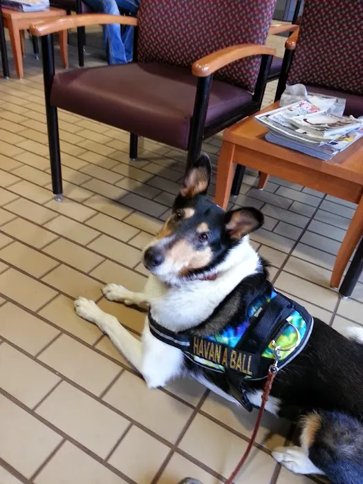 School Of Veterinary Medicine Picture 2