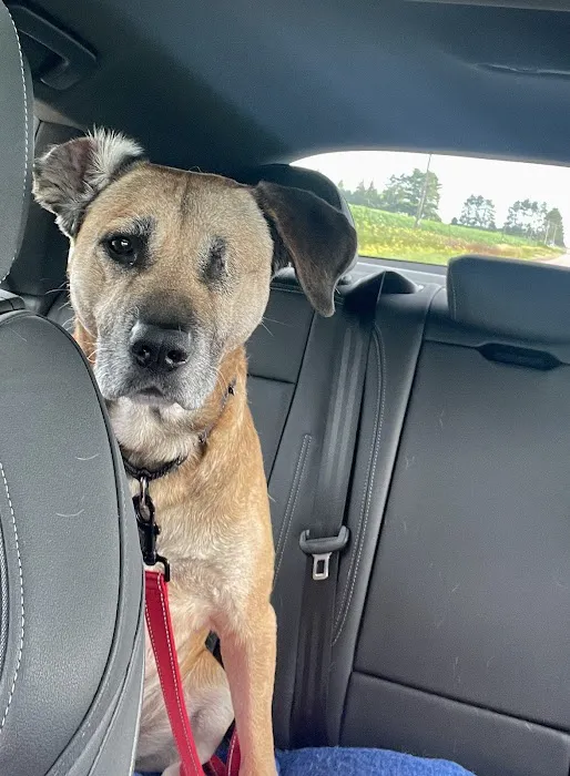 School Of Veterinary Medicine Picture 6